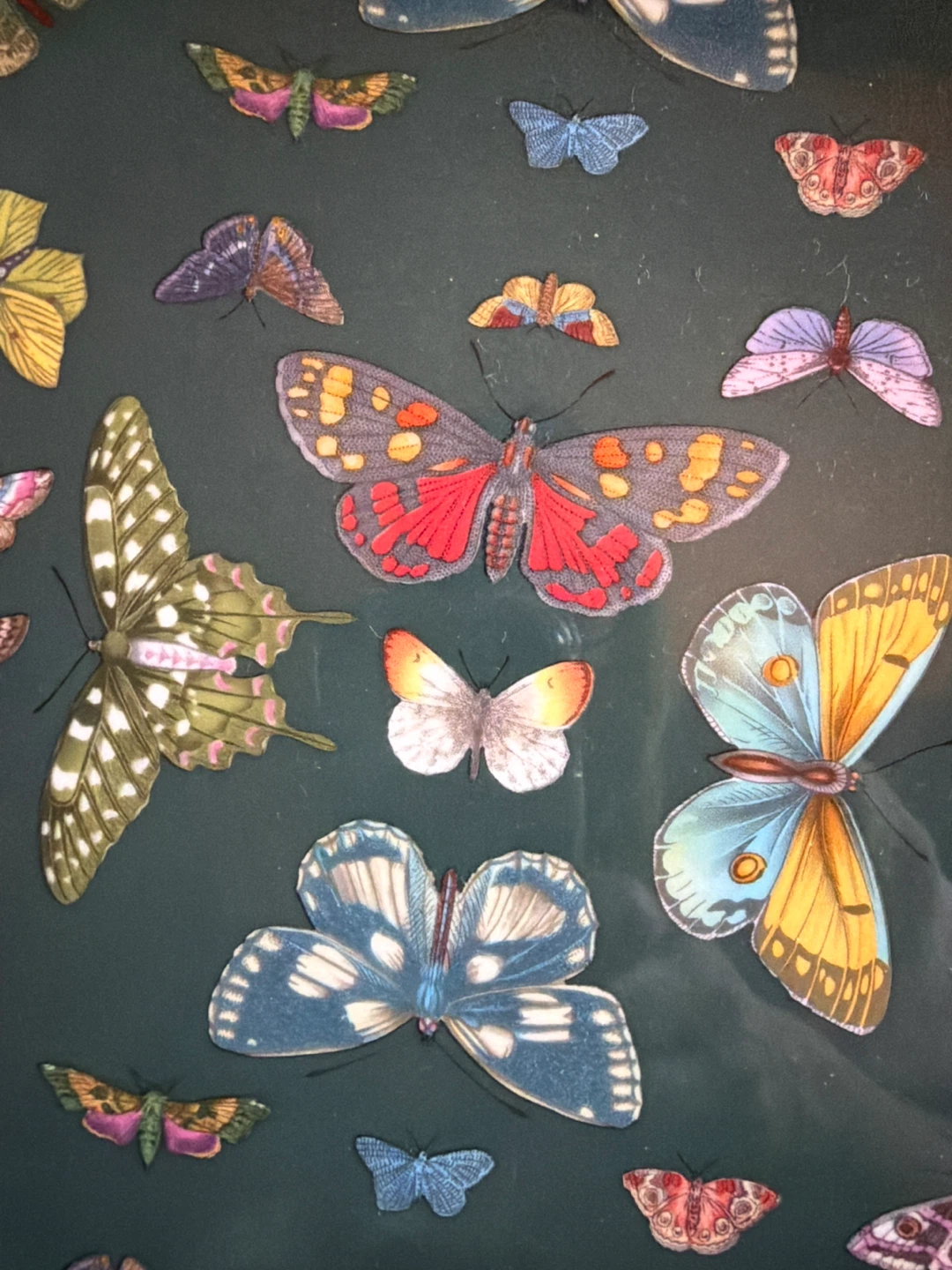 Portmeirion Botanic Garden Harmony Plate - photo 5