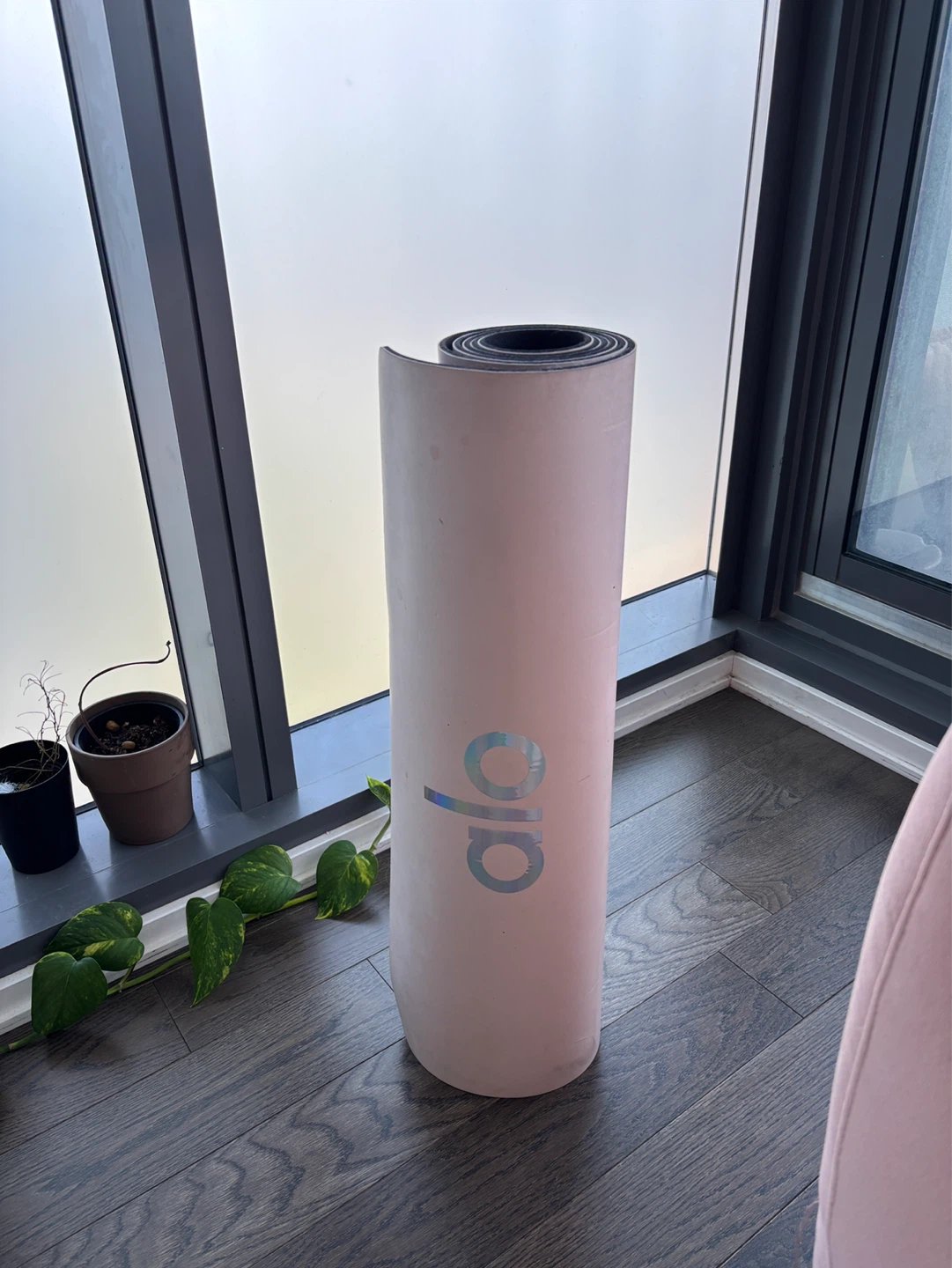 Alo Yoga Yoga Mat - Pink