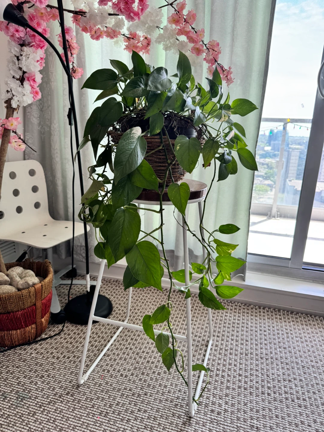 high stool and plant included - photo 2