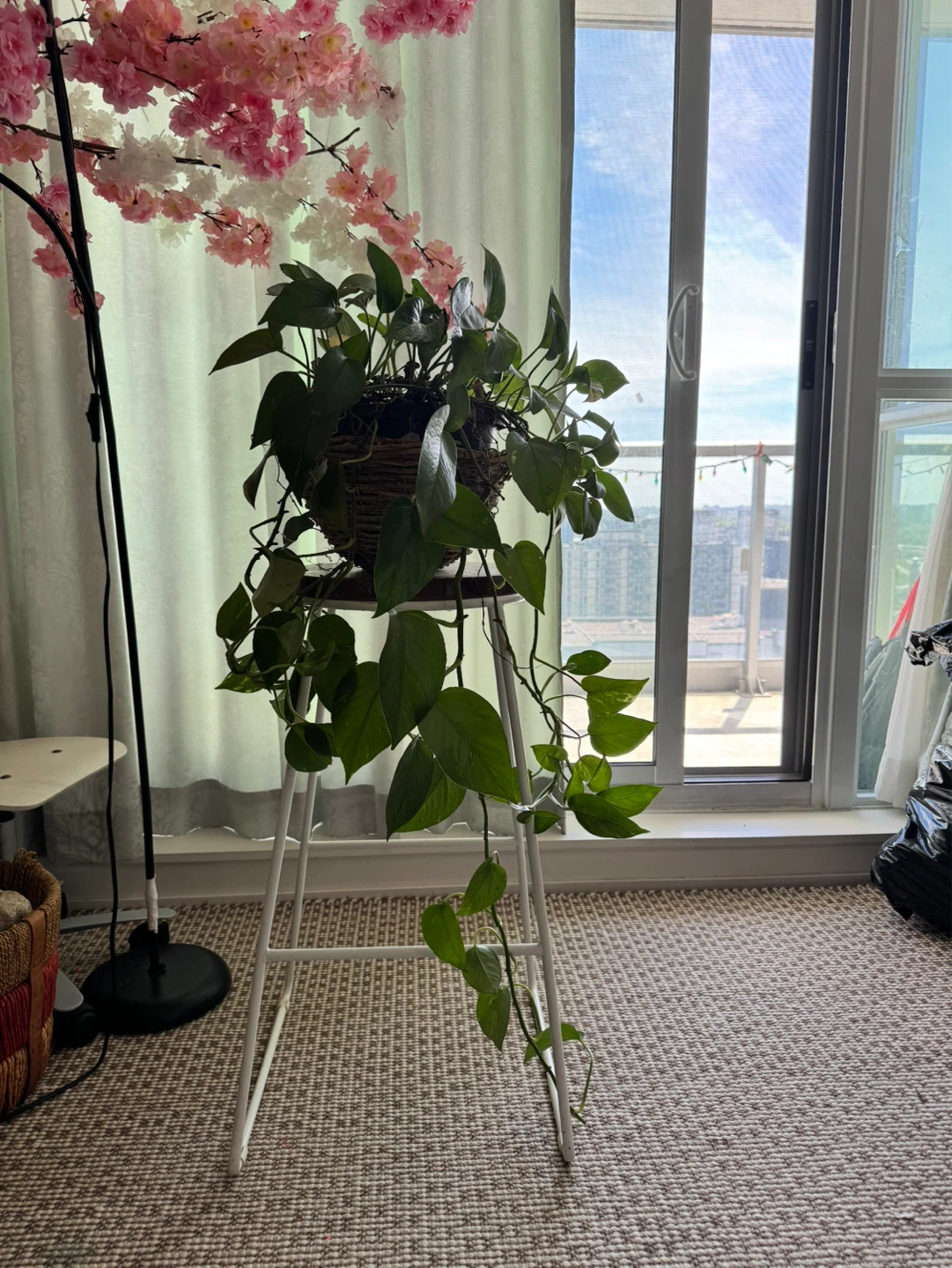 high stool and plant included - photo 3