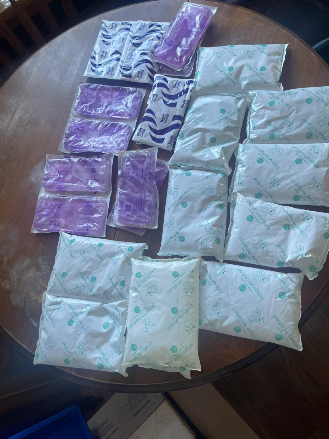 Lot of 17 reusable ice packs