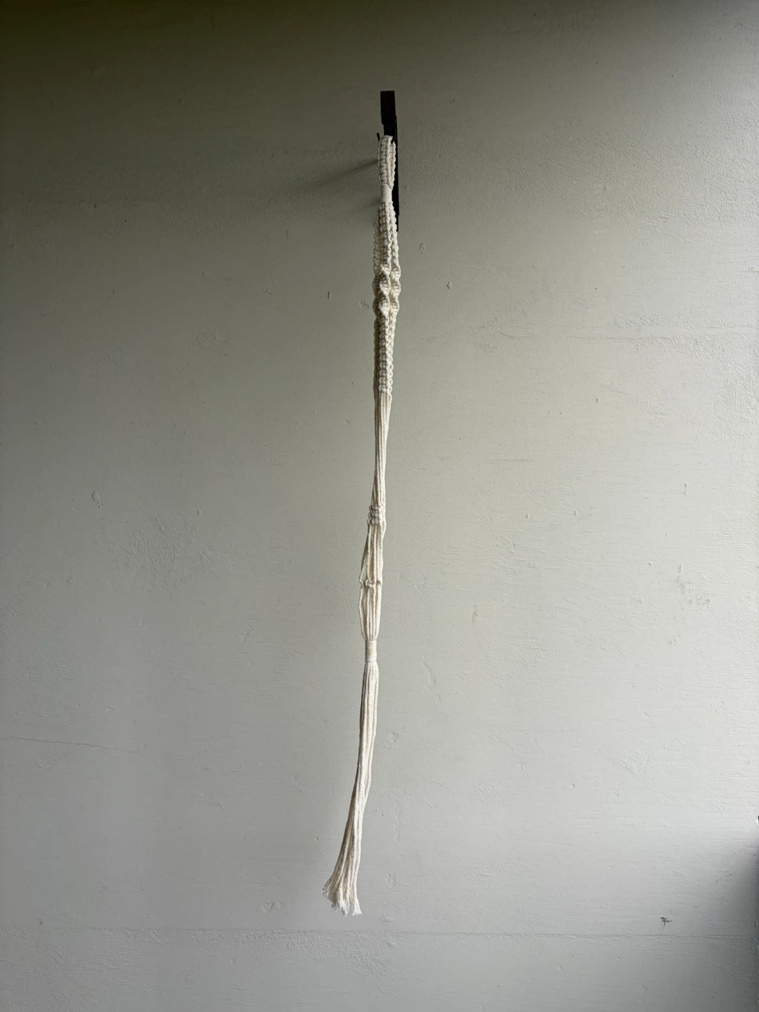 Macrame Plant Hangers