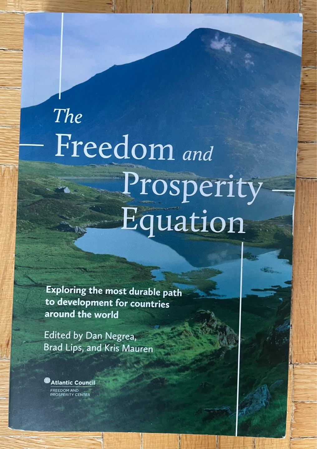 The Freedom And Prosperity Equatiom Book - photo 2
