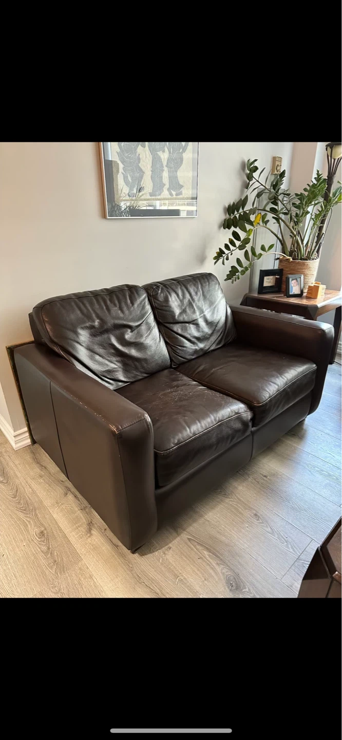 Brown Leather Loveseat and Armchair Set