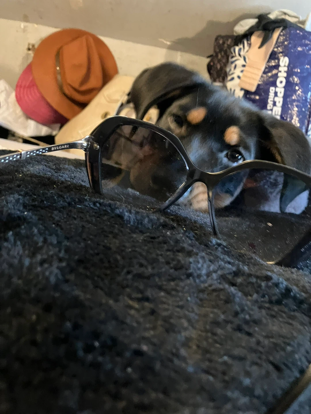 Bvlgari Sunglasses - photo 4