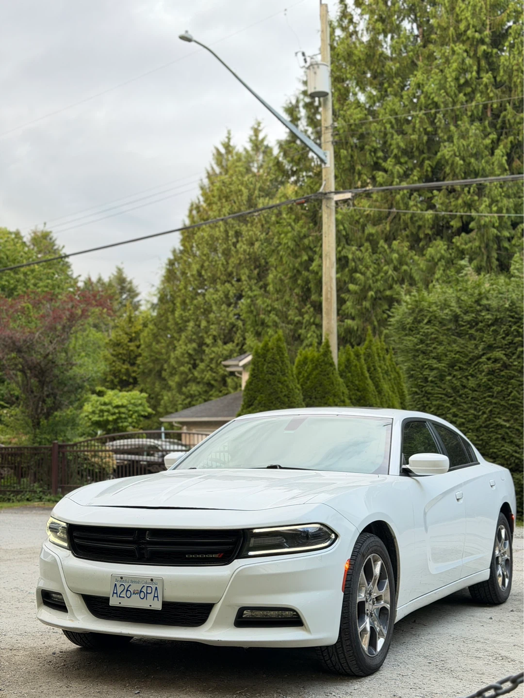2015 Dodge Charger AWD - photo 3