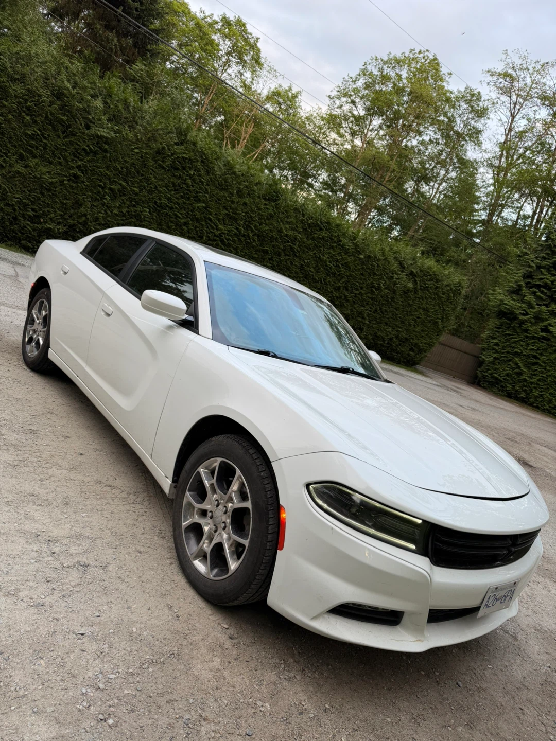 2015 Dodge Charger AWD - photo 2