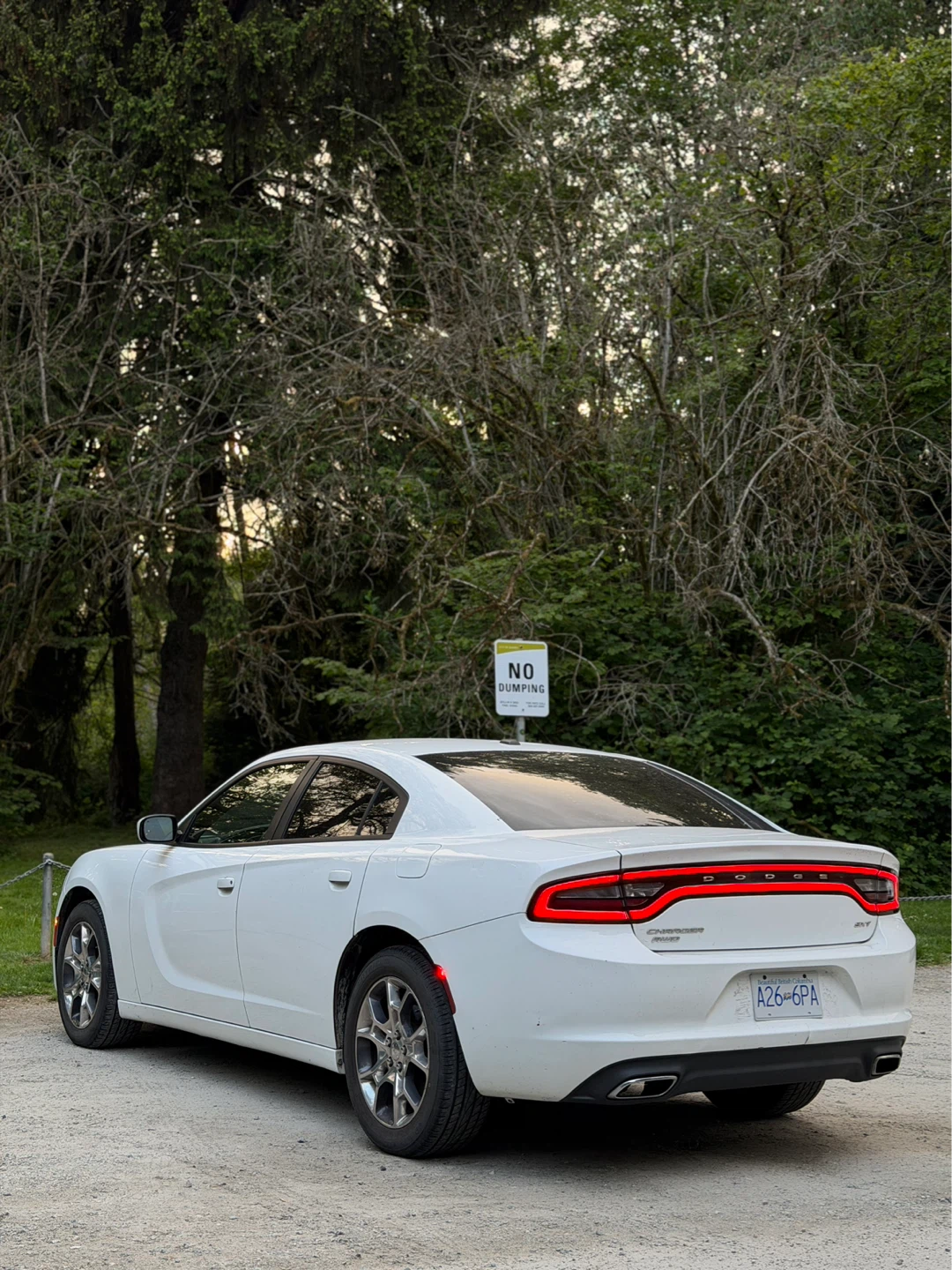 2015 Dodge Charger AWD - photo 5