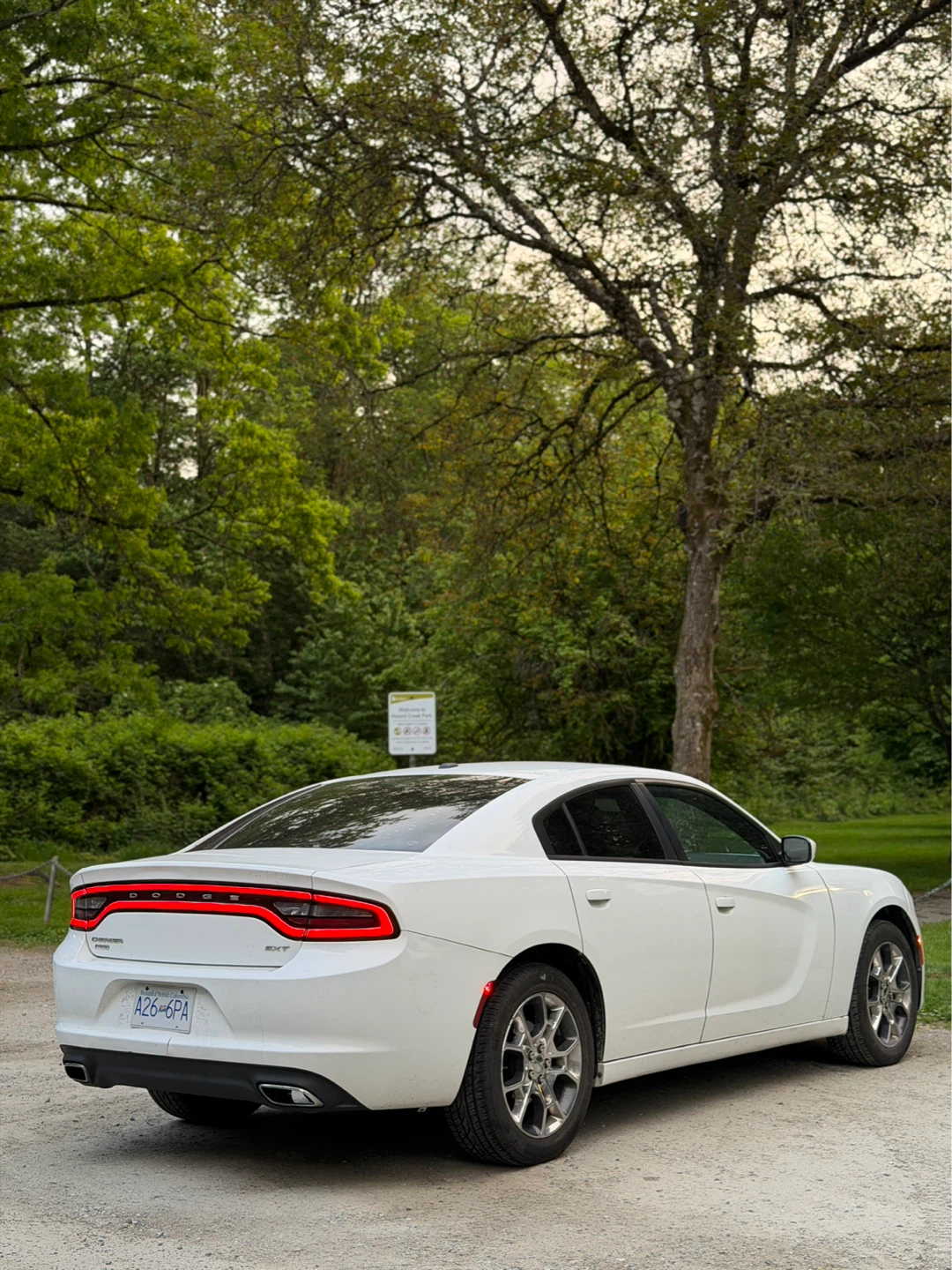 2015 Dodge Charger AWD - photo 4