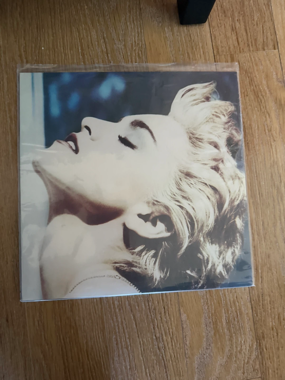 Madonna True Blue Vinyl Record