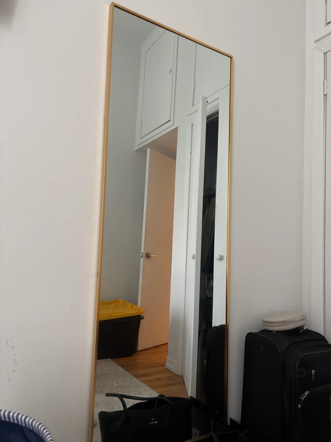 MOVE OUT SALE: Gold Framed Full Length Mirror - photo 2
