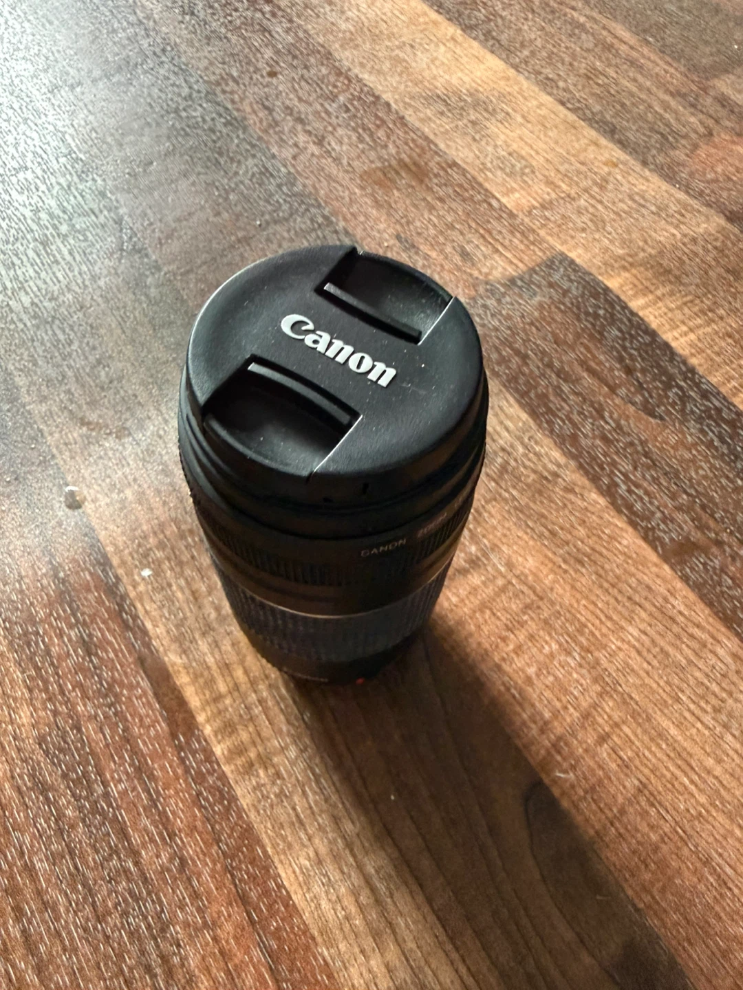 Canon EF-S 55-300mm f/4-5.6 IS Lens