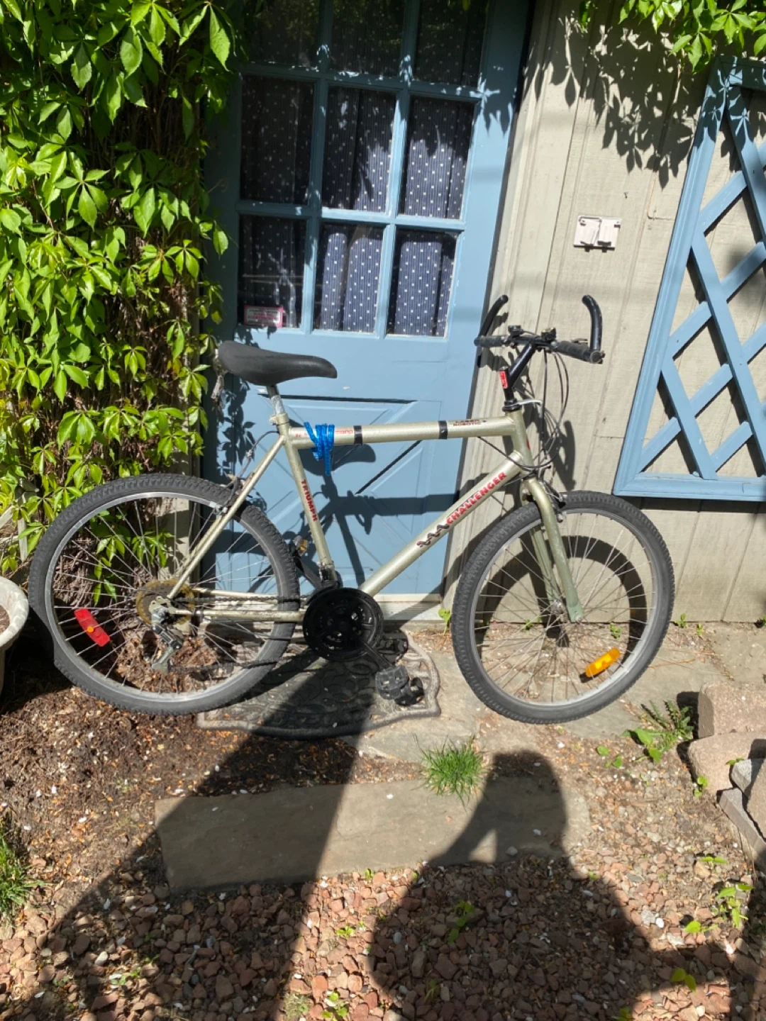 Triumph Challenger Laser Robotic Mountain Bike