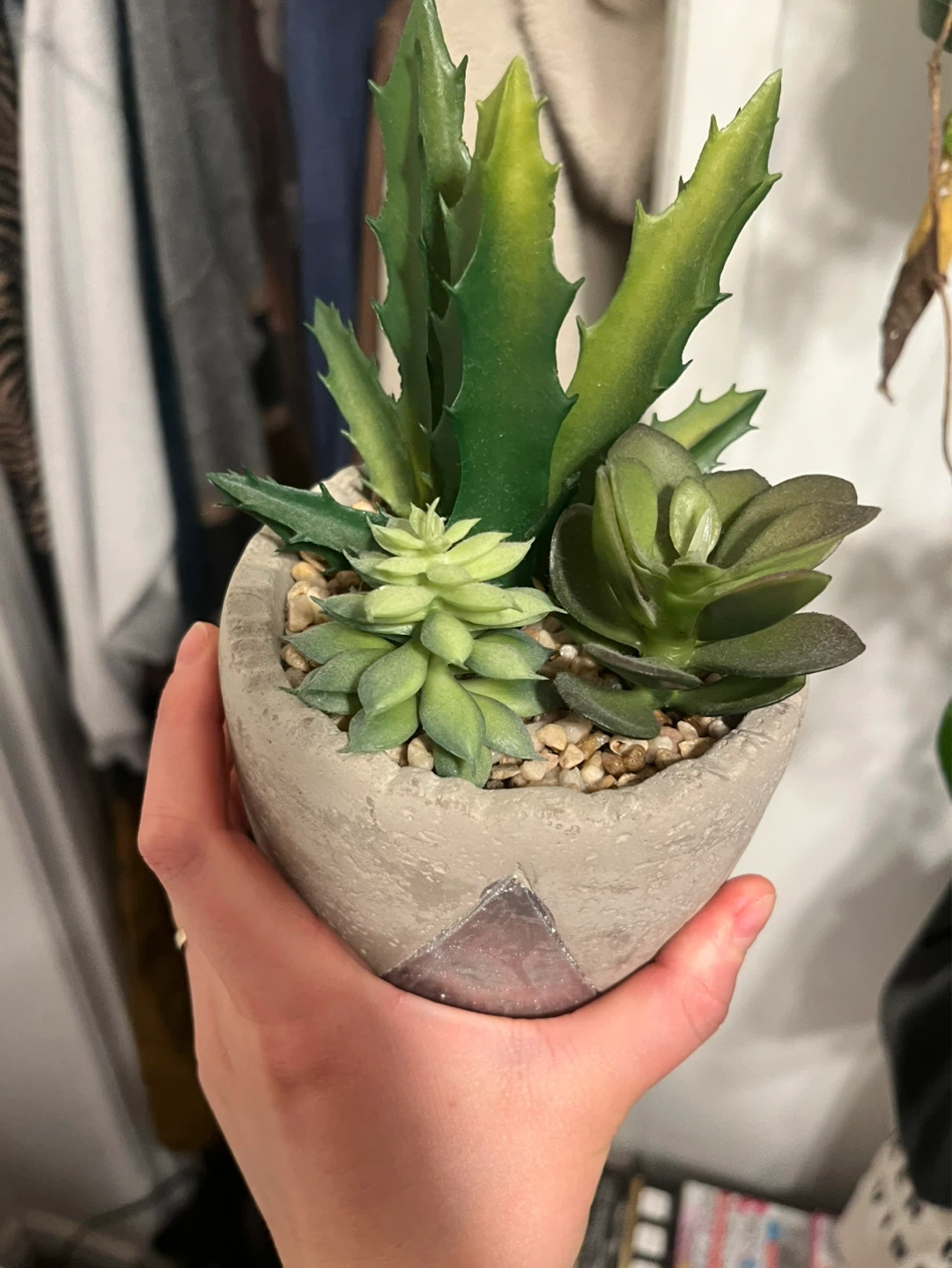 Artificial Succulent Plant in Pot
