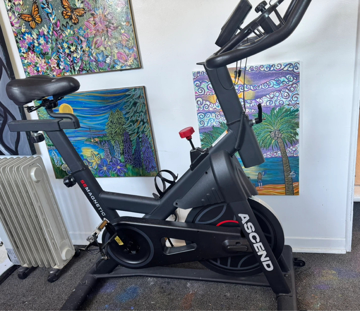 SE MAGNETIC Ascend Spin Bike
