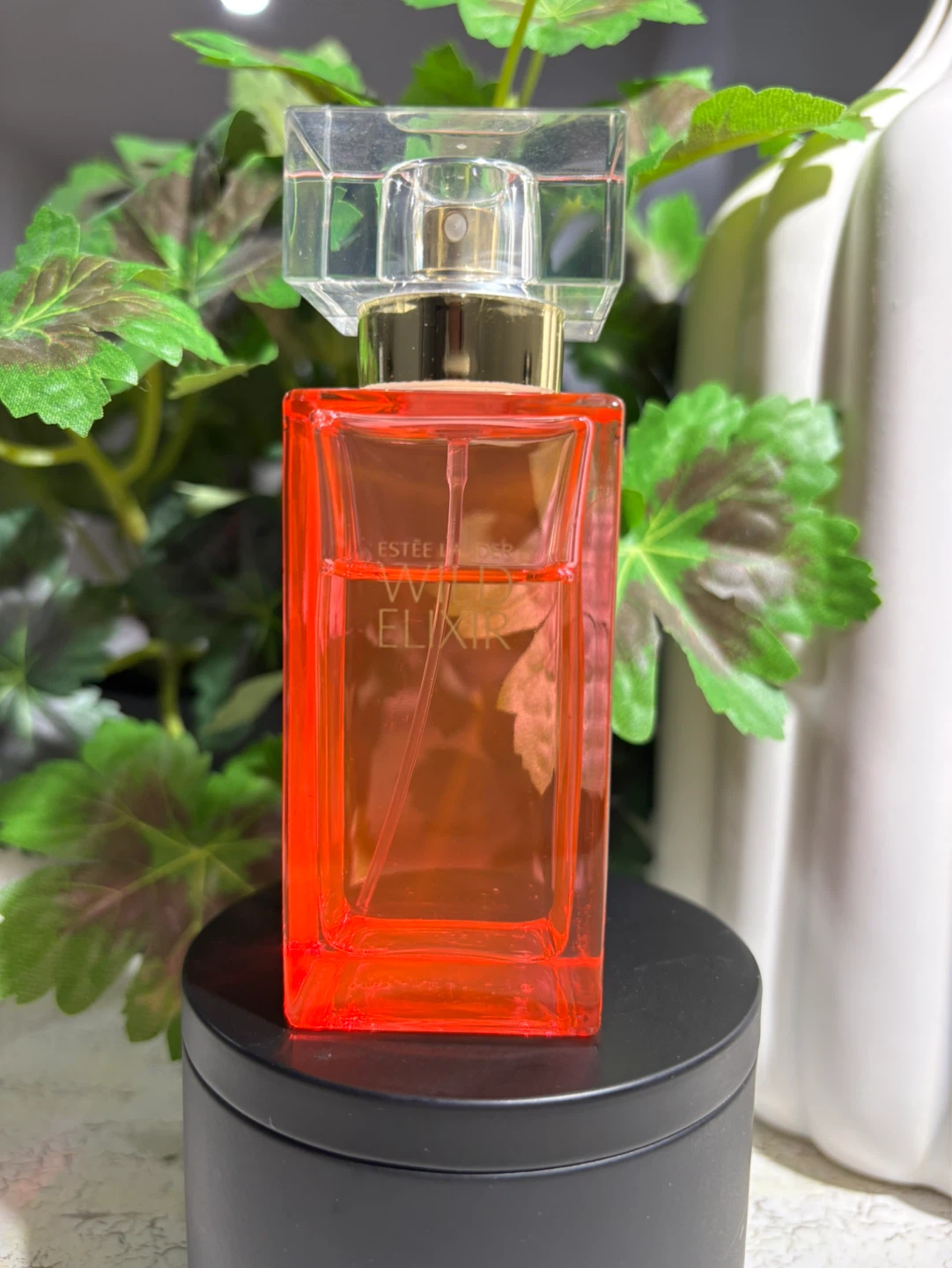 Fragrance