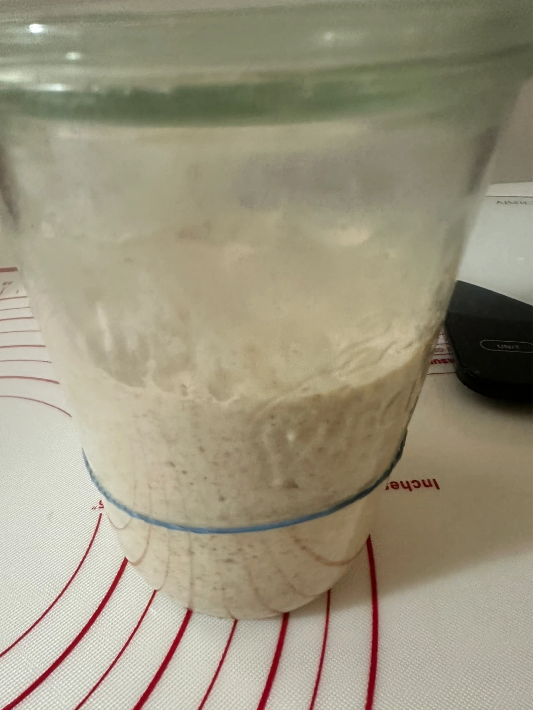 Freshly Baked Sourdough Bread - photo 2