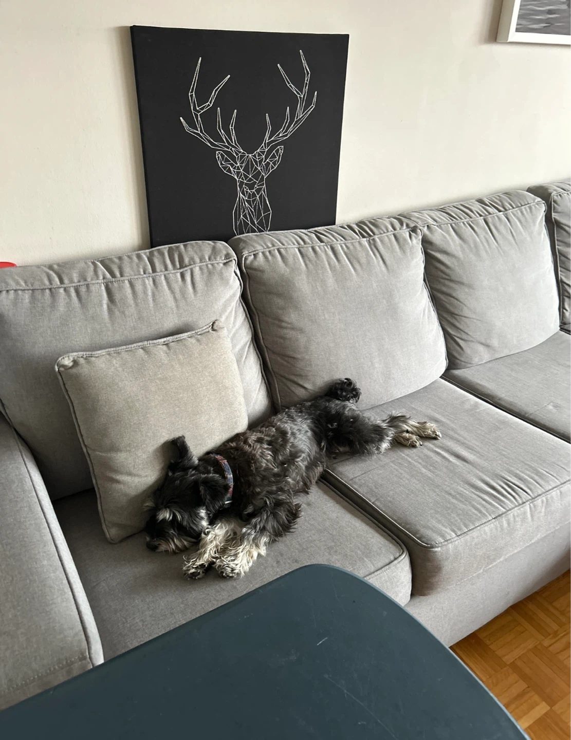 Grey Sectional Sofa - photo 2