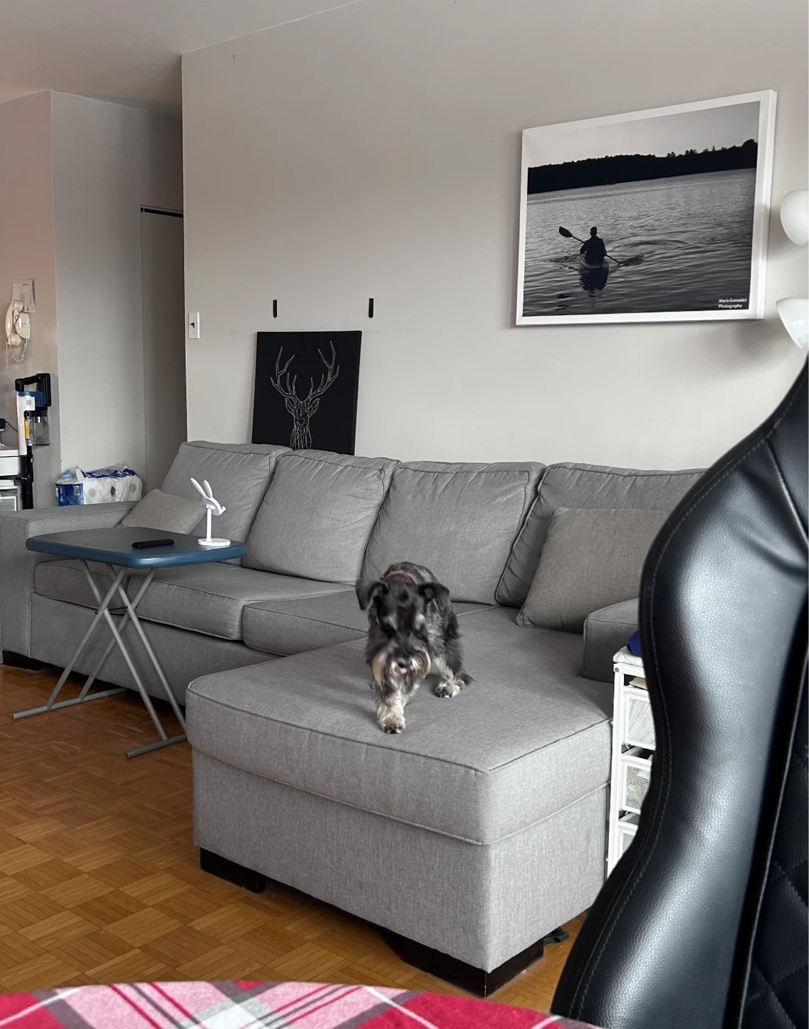 Grey Sectional Sofa