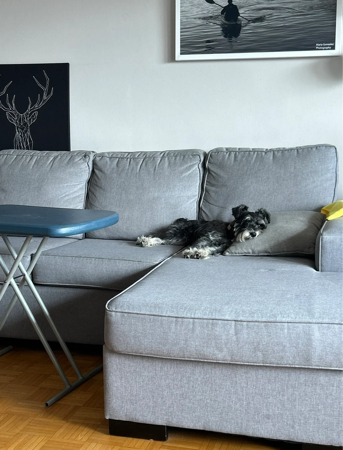 Grey Sectional Sofa - photo 3