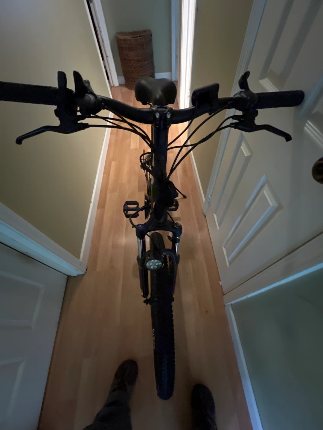 Qife Electric Mountain Bike