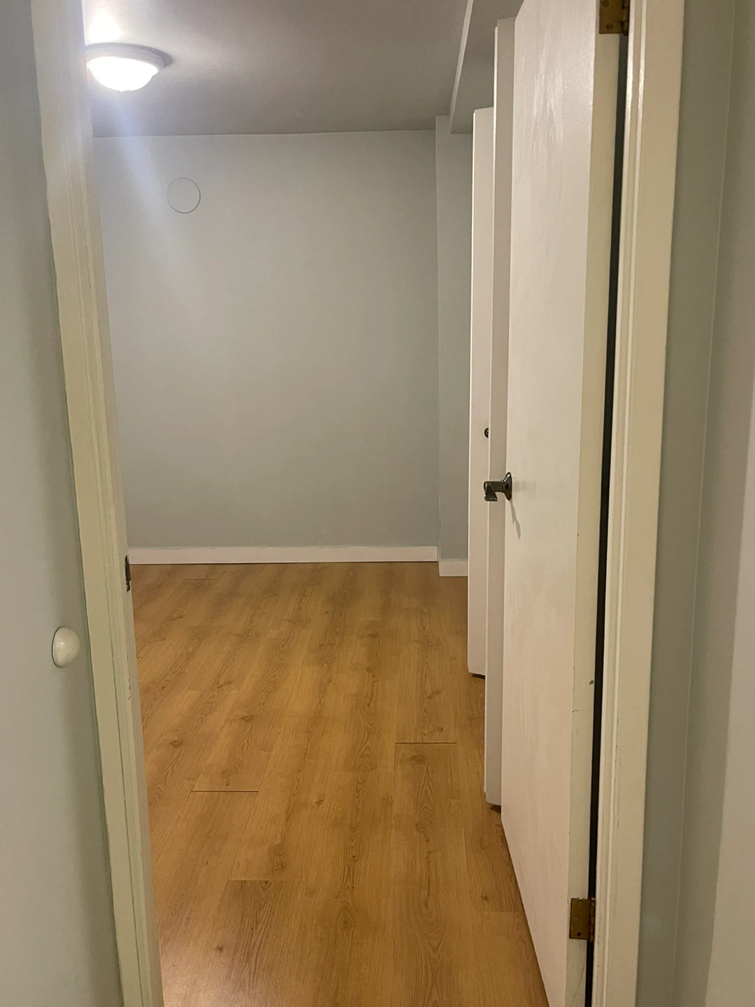 Private bedroom for rent, in a 2 bedroom 1 bath apartment. - photo 5