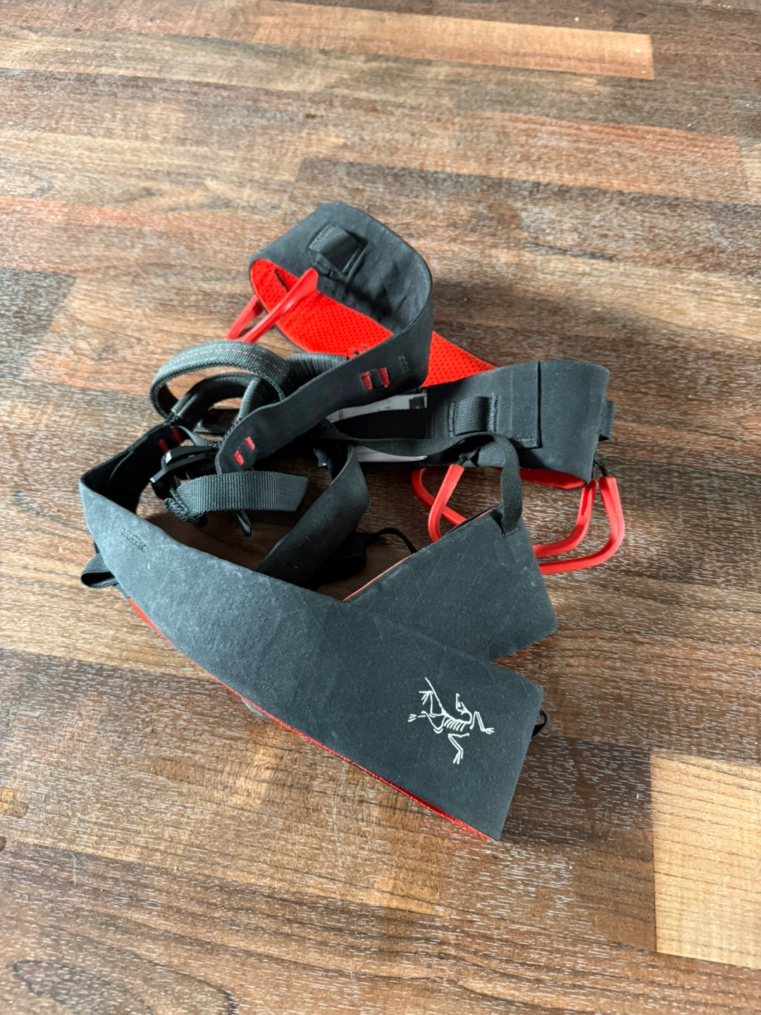 Arc'teryx Climbing Harness