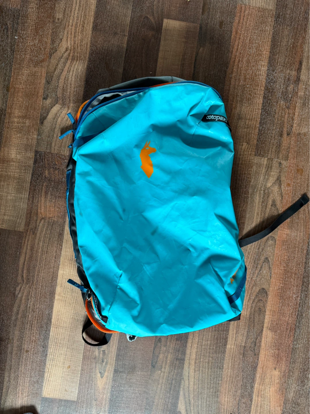 Cotopaxi Allpa 28L Travel Backpack - Teal