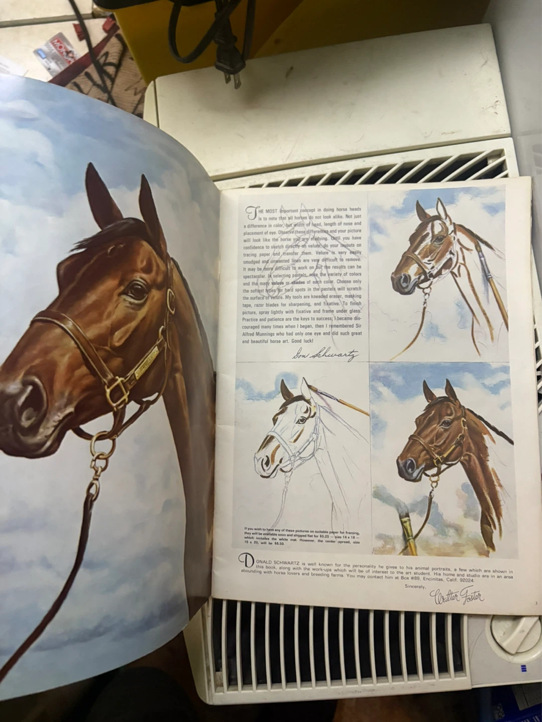 Horses' Heads in Oils and Pastels Art Book by Don Schwartz - photo 5