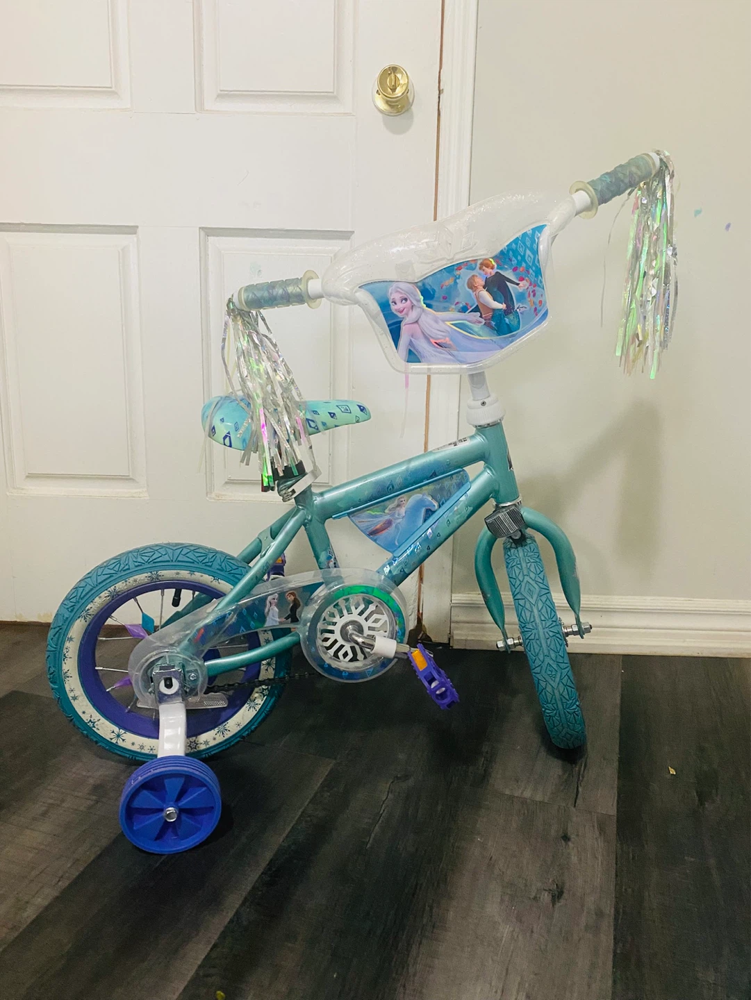 Frozen Kids Bike with Training Wheels