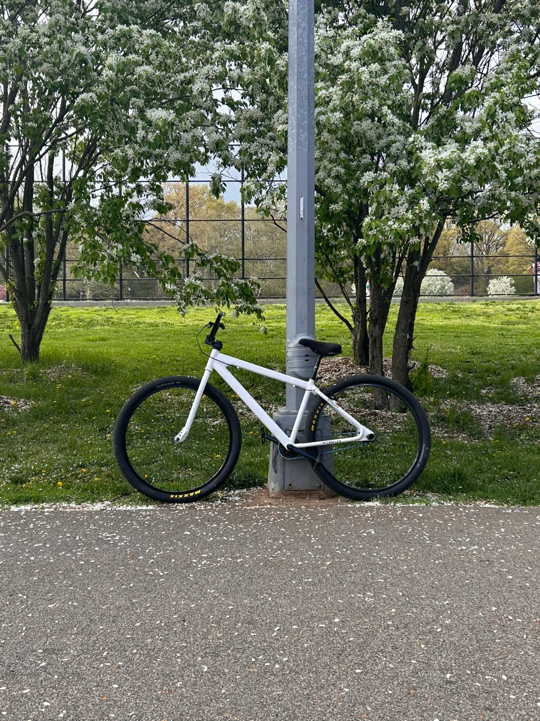 SE Big Ripper 29” INCH Bike