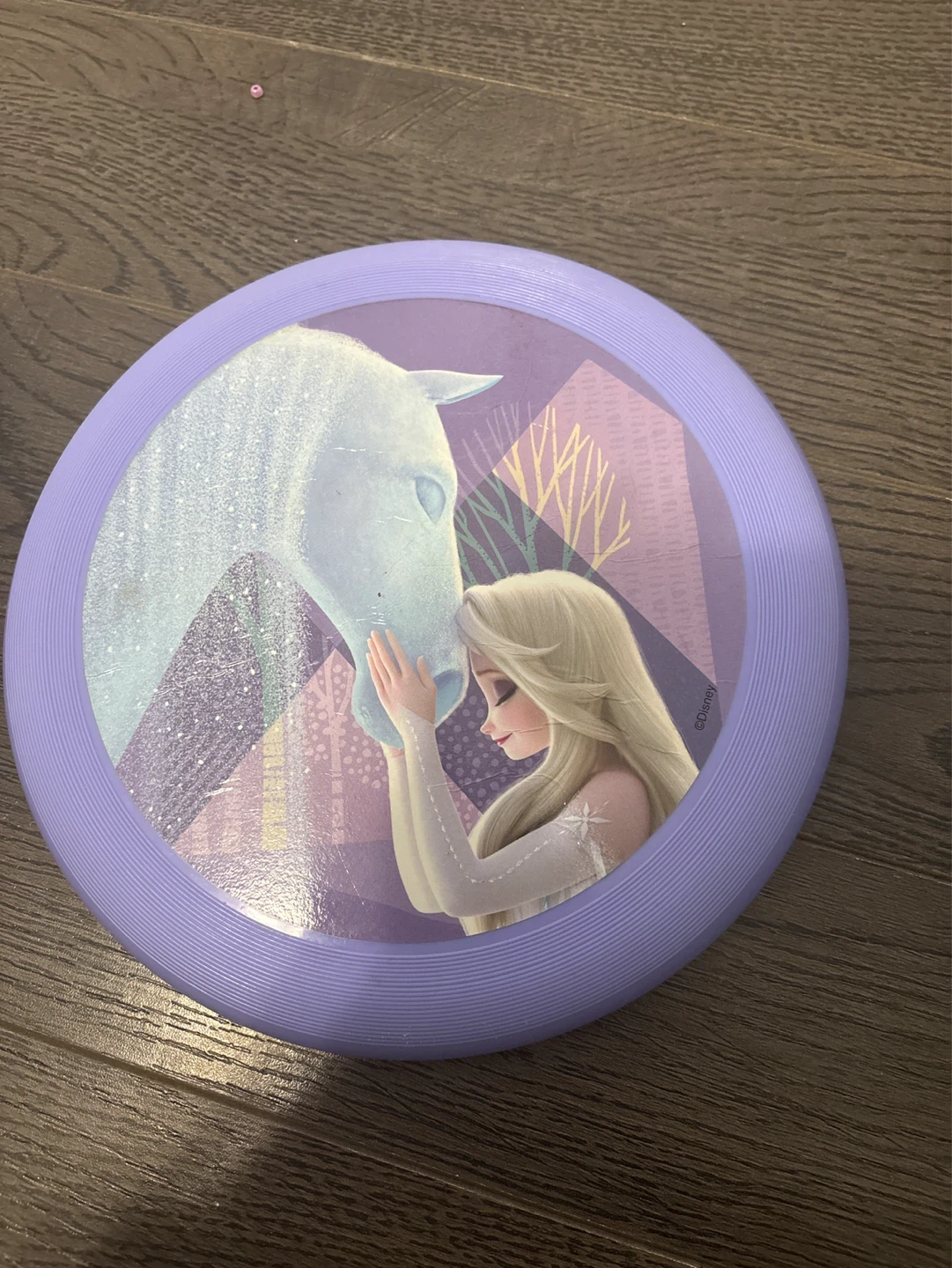Disney Frozen Elsa and Nokk Frisbee Toy