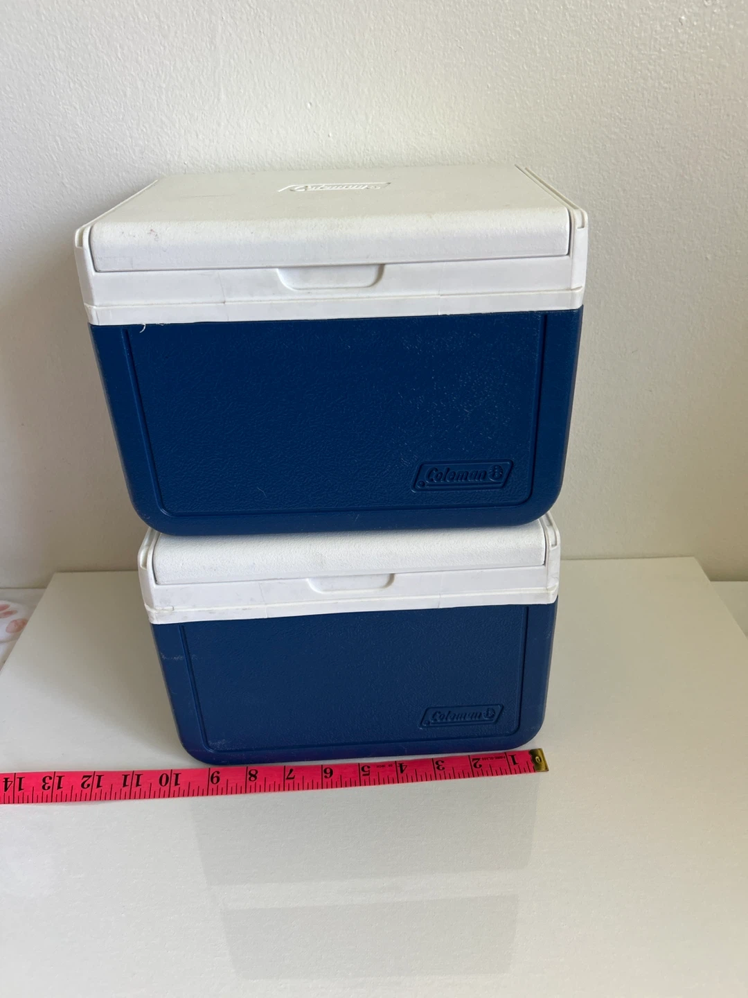 Coleman Blue and White Coolers - Set of 2