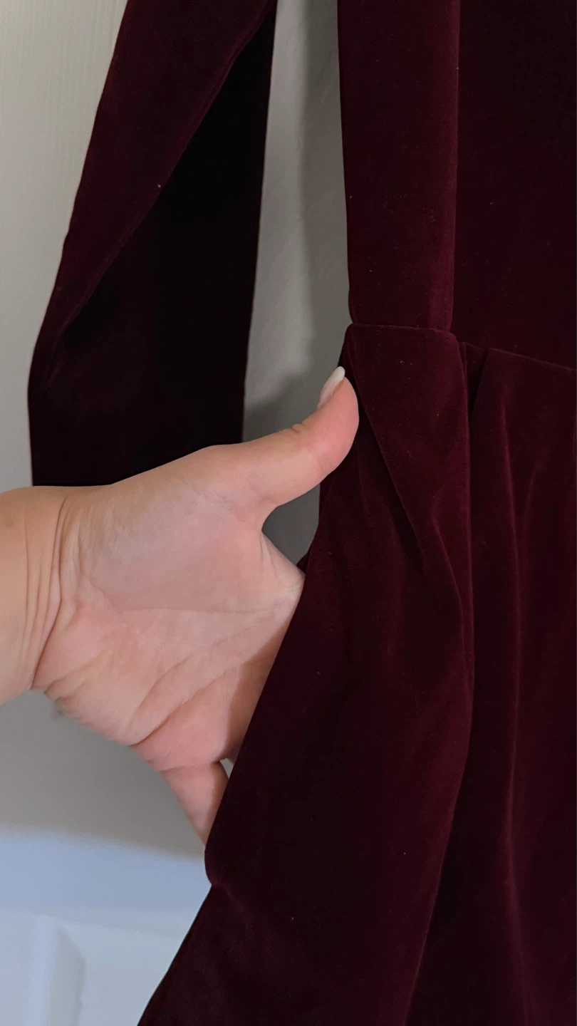 NEW Velvet Dress with Crystal Embellished Neckline - photo 4