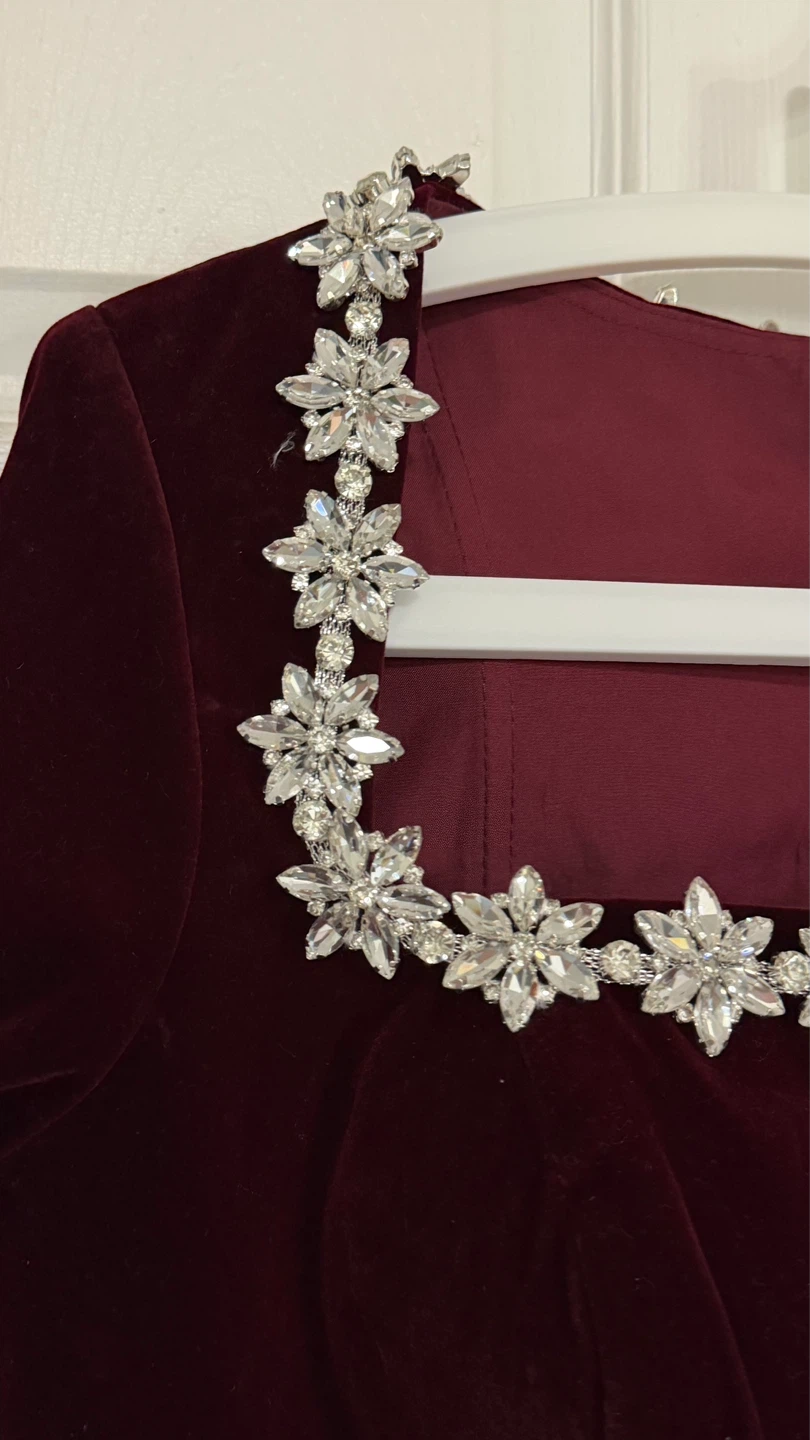 NEW Velvet Dress with Crystal Embellished Neckline - photo 3