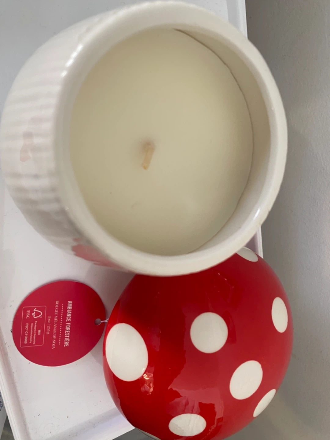 Mushroom Candle and “Mugshroom” mug w/ lid - photo 3