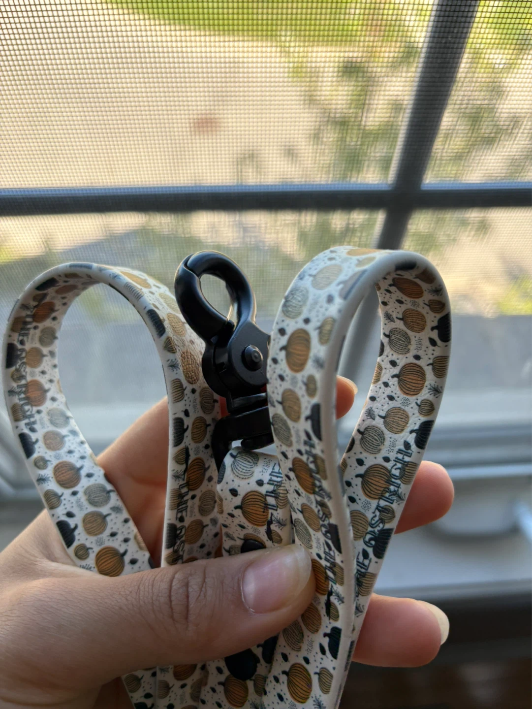 Pumpkin fall themed dog leash - photo 2