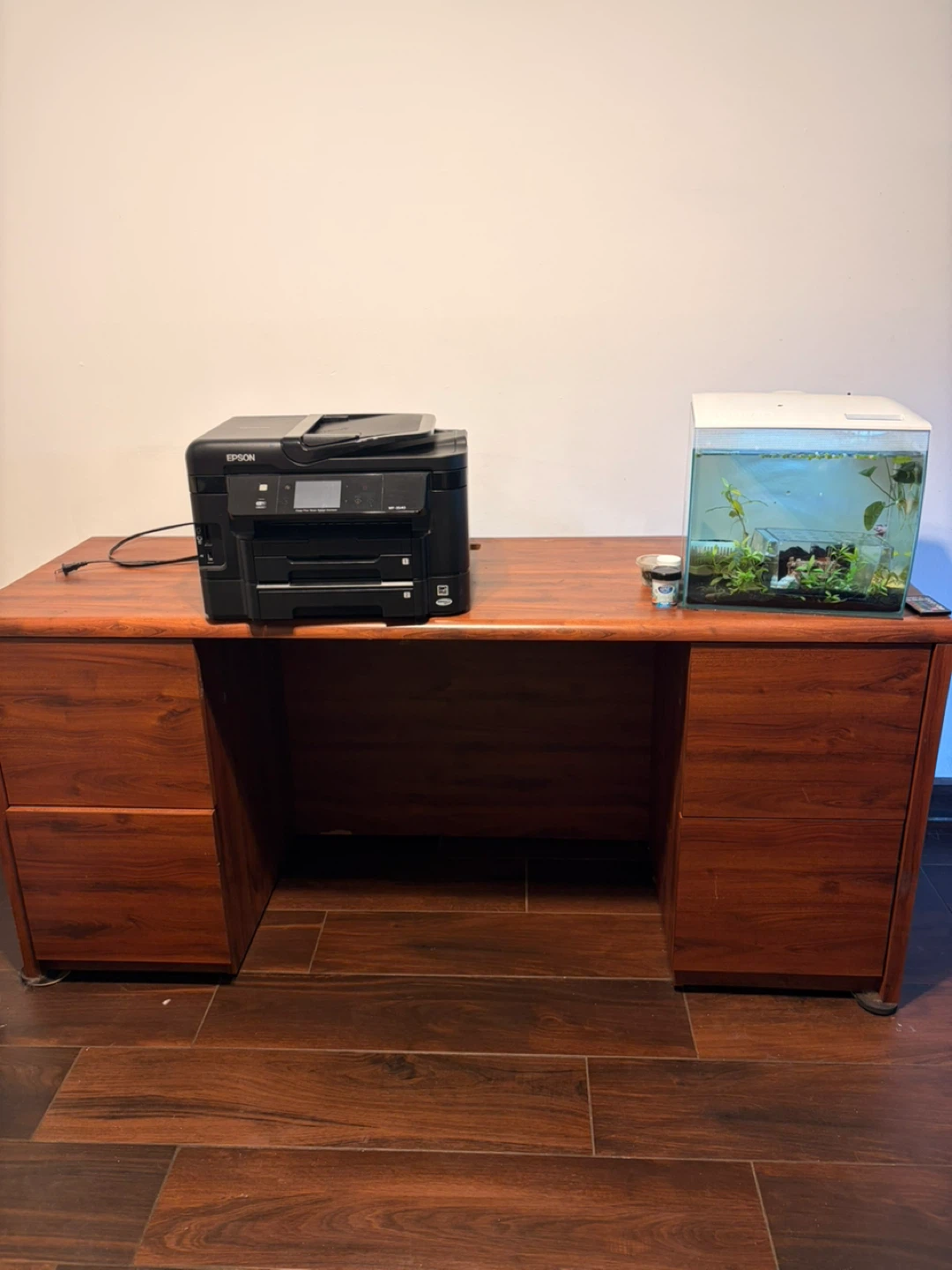 Epson All-in-One Printer