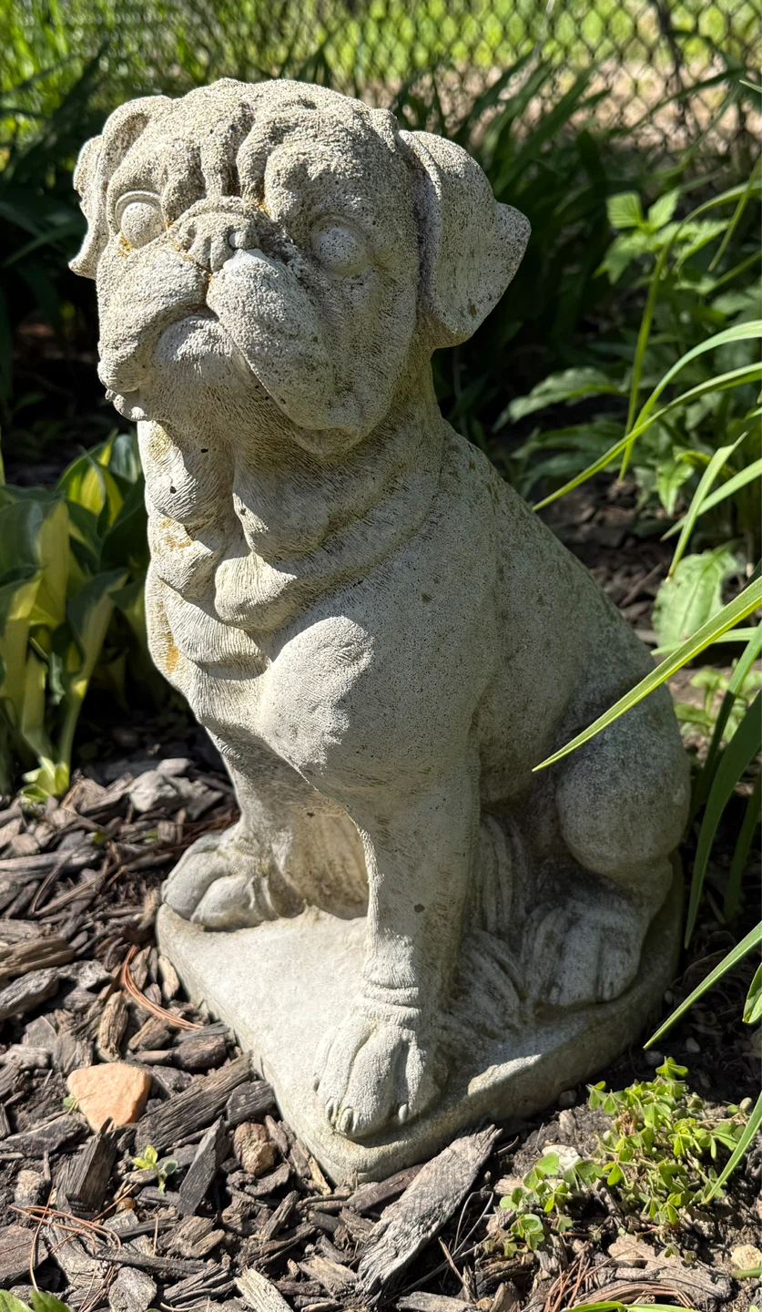 Pug Cement Statue