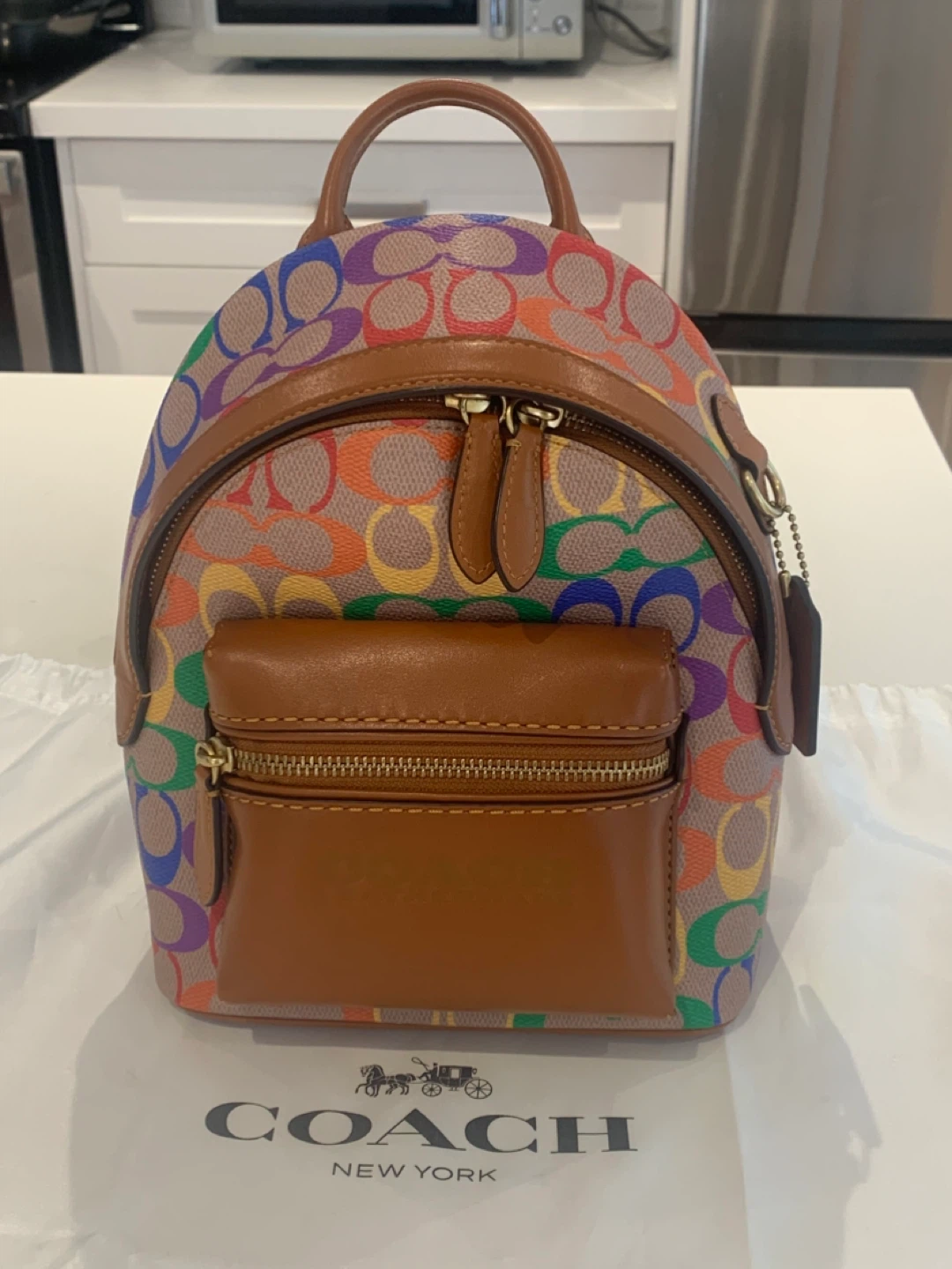 🌈 Coach Pride Collection Charter Backpack 18 🌈