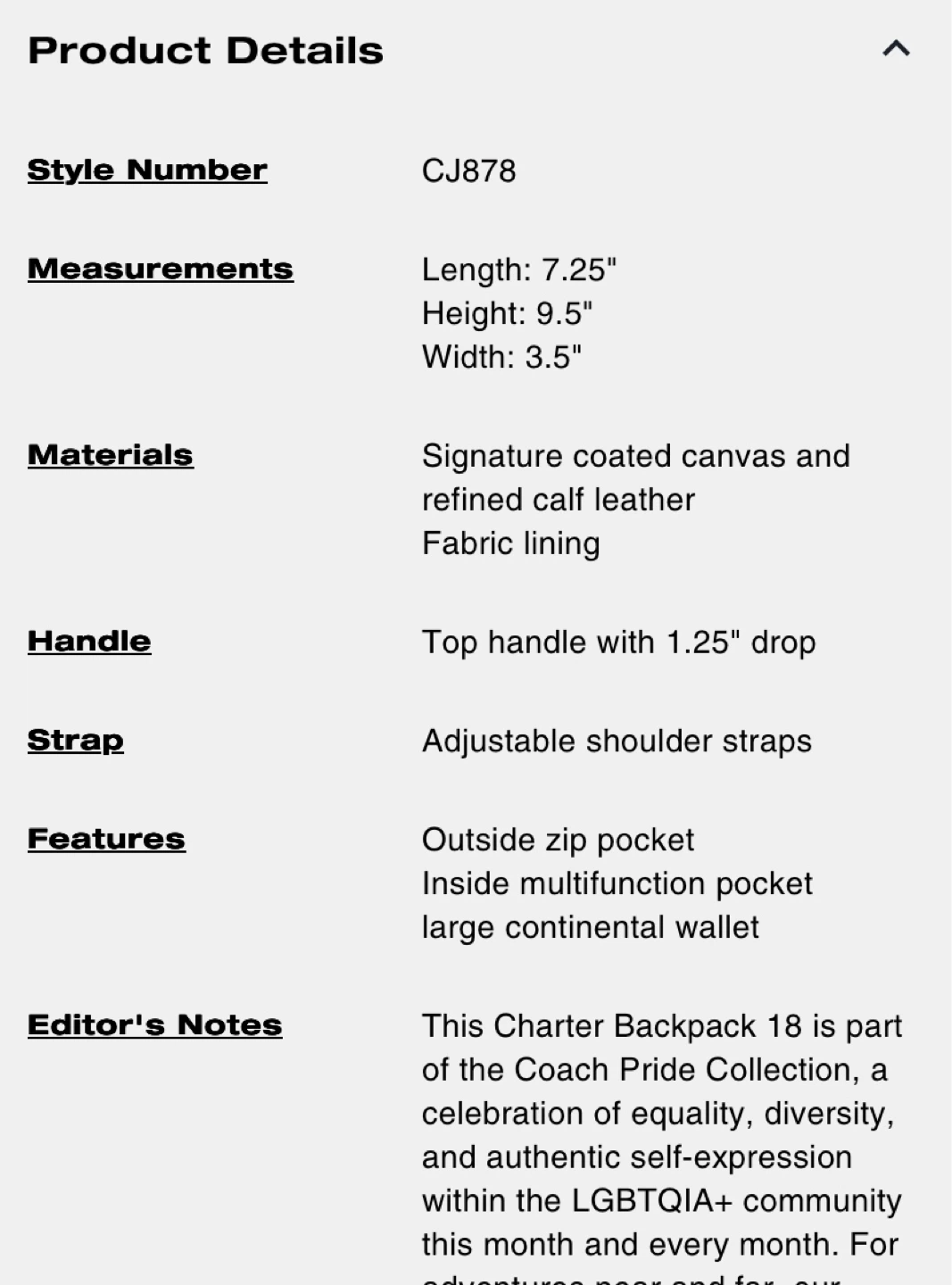 🌈 Coach Pride Collection Charter Backpack 18 🌈 - photo 4