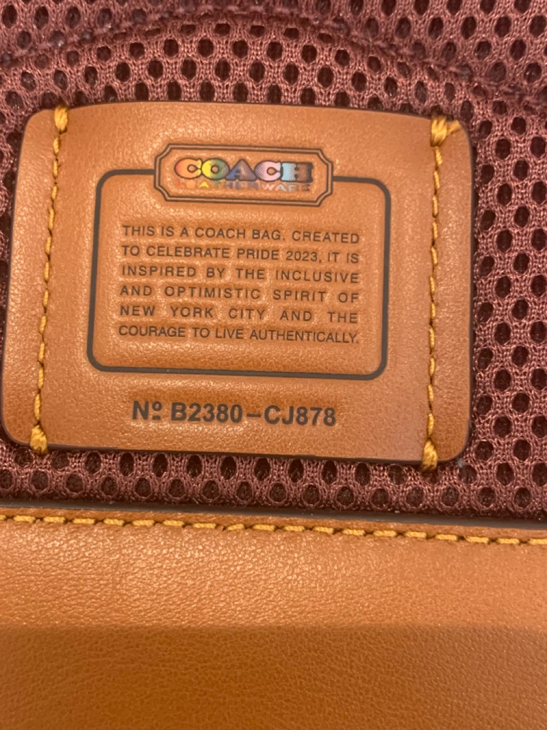 🌈 Coach Pride Collection Charter Backpack 18 🌈 - photo 3