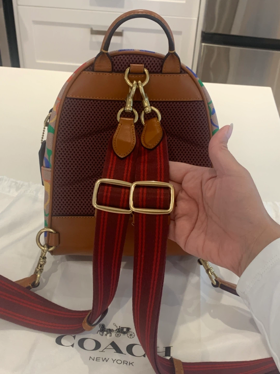 🌈 Coach Pride Collection Charter Backpack 18 🌈 - photo 5