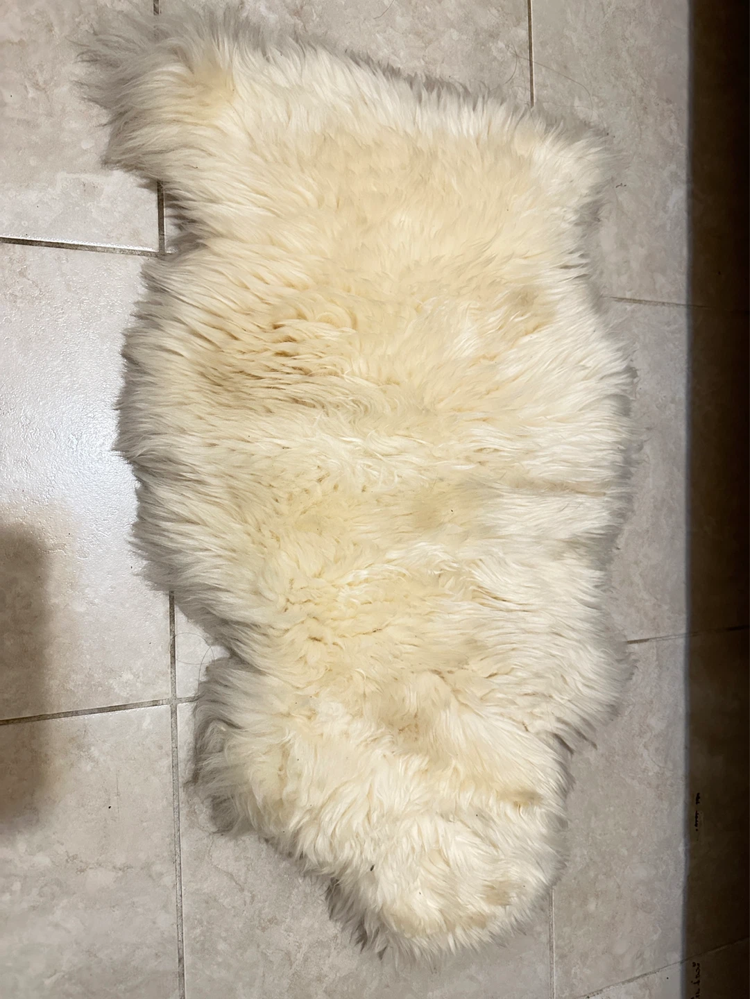 Cream Sheepskin Rug