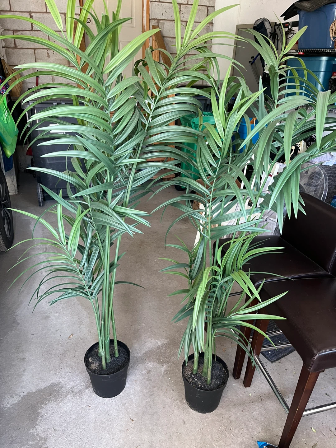 Two Artificial Palm Plants
