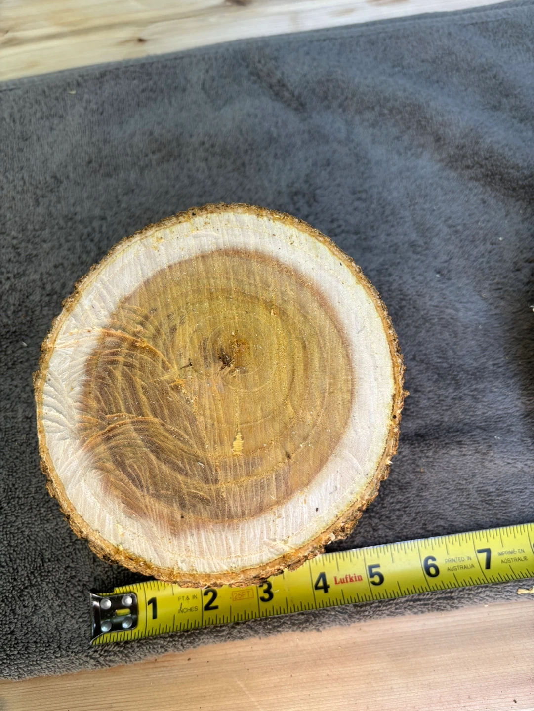 2 Natural Wood Slices for Crafting or Decor - photo 4