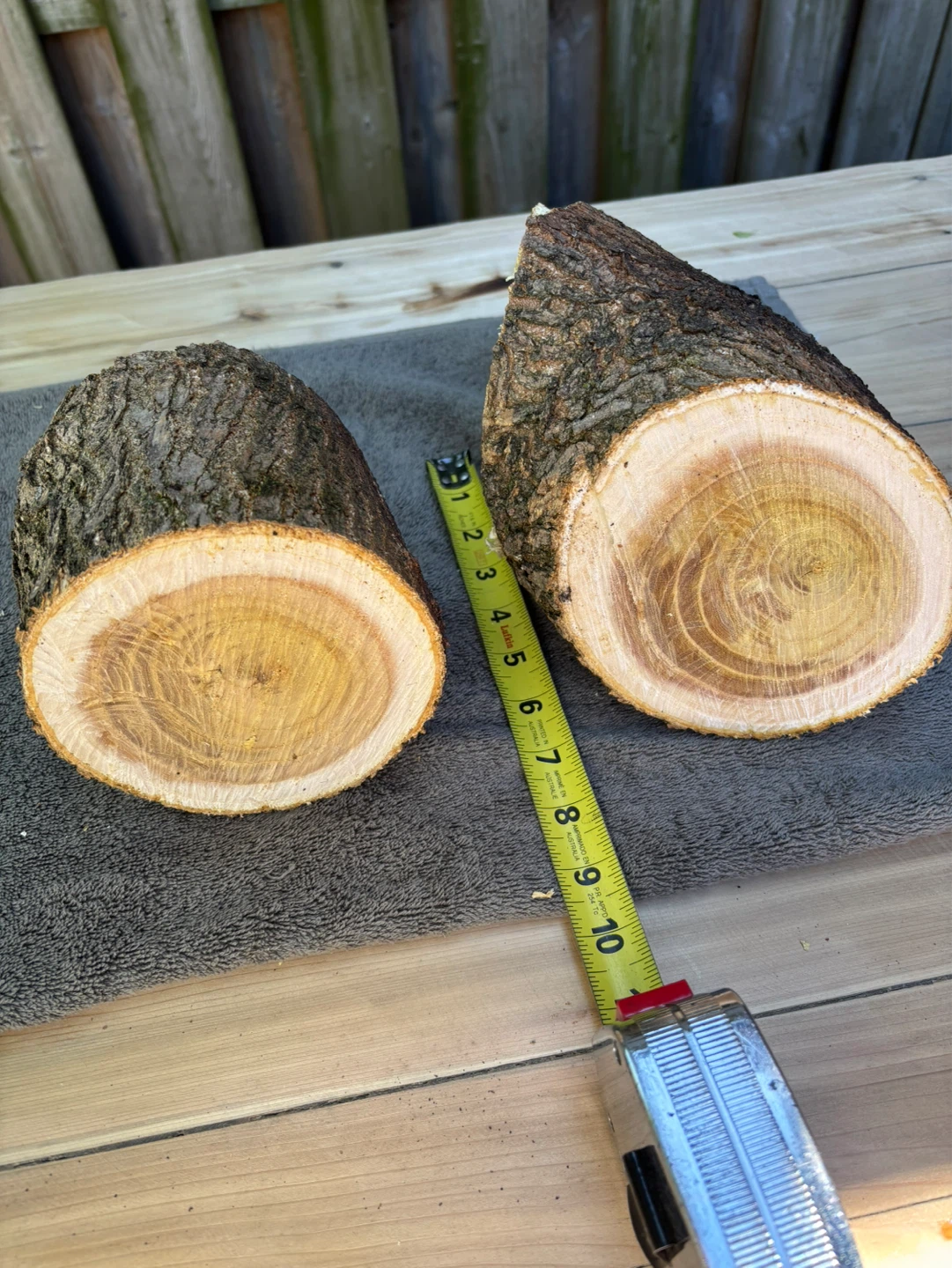2 Natural Wood Slices for Crafting or Decor