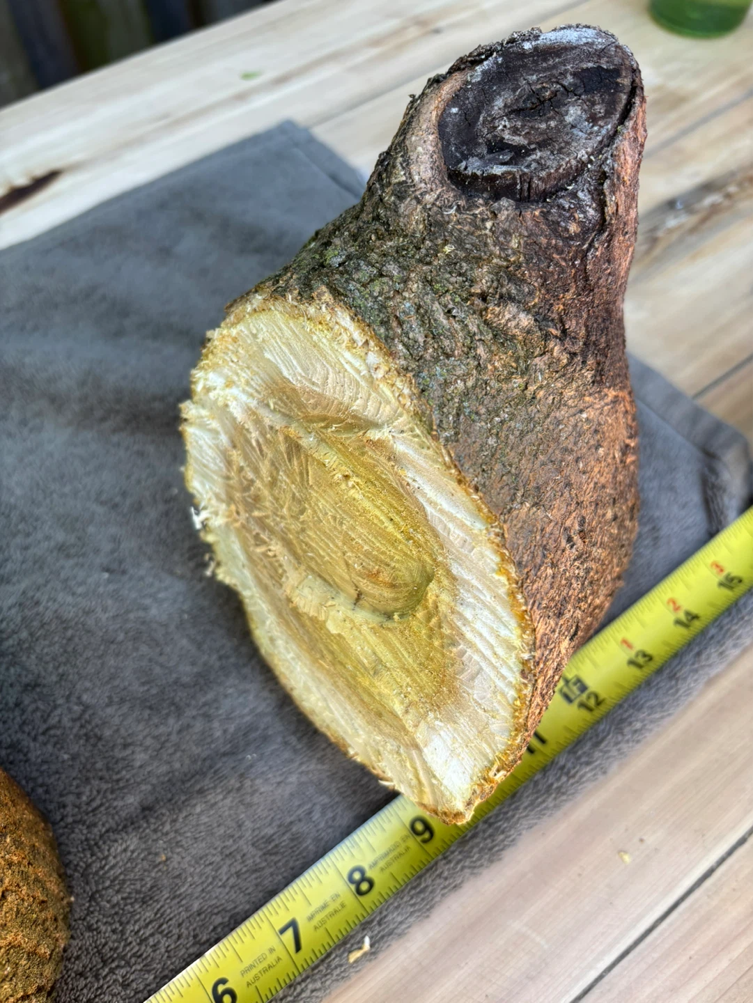 2 Natural Wood Slices for Crafting or Decor - photo 5