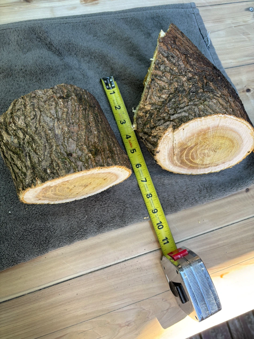 2 Natural Wood Slices for Crafting or Decor - photo 2