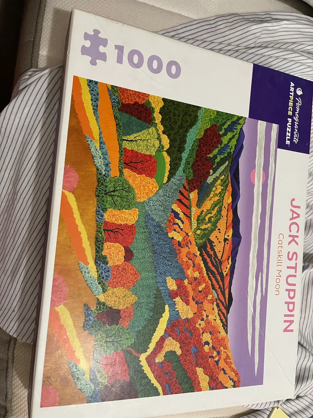 Pomegranate 1000 Piece Puzzle - Catskill Moon by Jack Stuppin